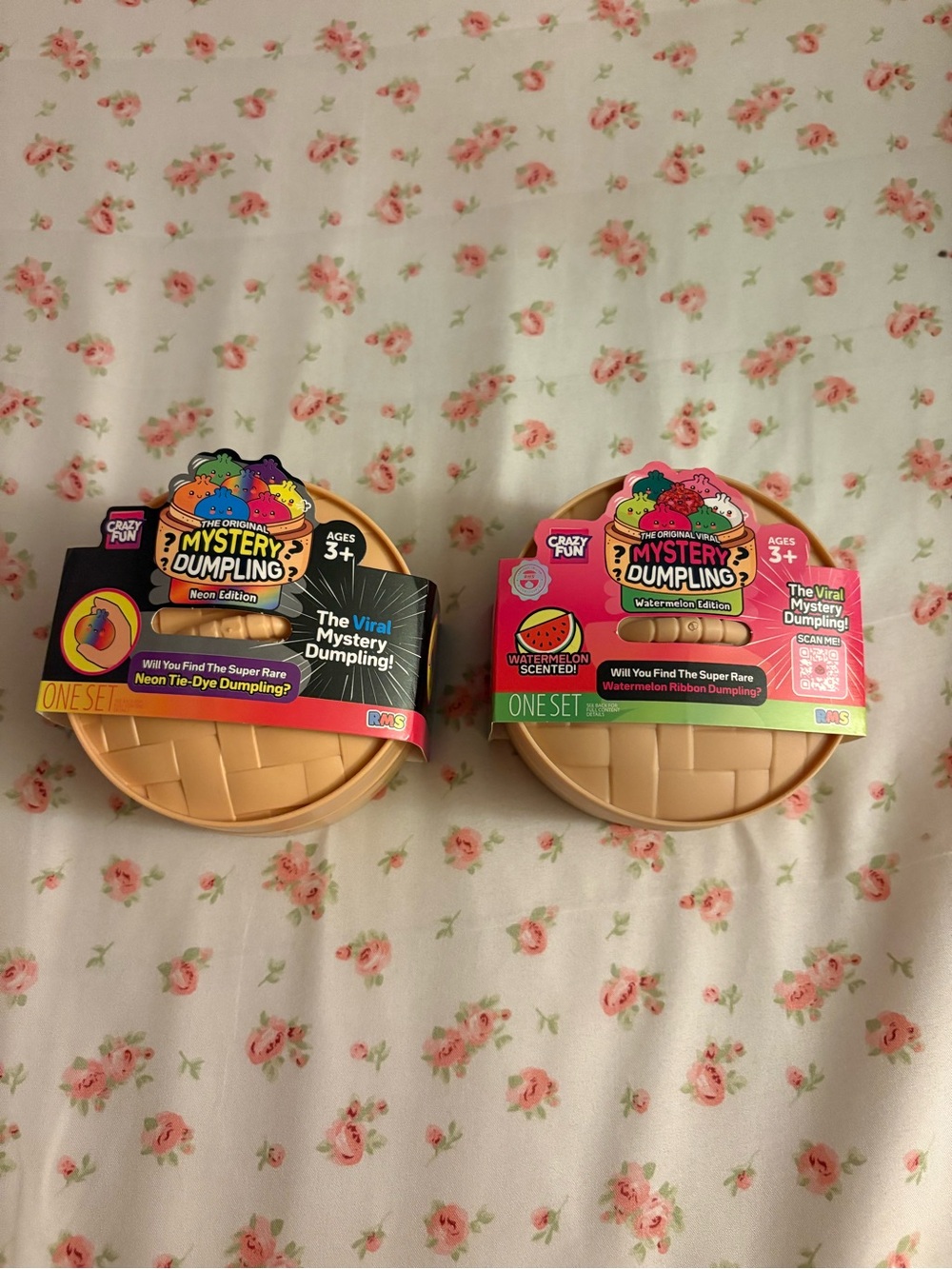 Two Mystery Dumplings